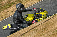 enduro-digital-images;event-digital-images;eventdigitalimages;mallory-park;mallory-park-photographs;mallory-park-trackday;mallory-park-trackday-photographs;no-limits-trackdays;peter-wileman-photography;racing-digital-images;trackday-digital-images;trackday-photos